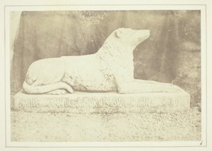 Avbildning av Sir W. Scotts favorithund Maida, vid sidan av dörren till hallen i Abbotsford av William Henry Fox Talbot