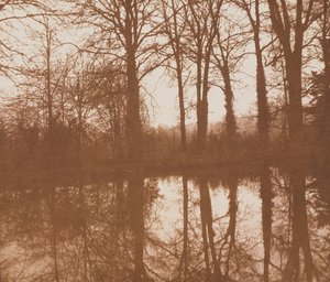 Reflections, 1843 (sepiafoto) av William Henry Fox Talbot