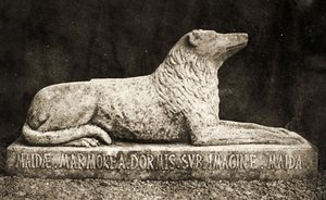 Staty av Maida, rapporteras vara Sir Walter Scotts favorithund. (sepiafoto) av William Henry Fox Talbot
