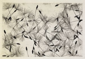 Talbot foto 24 1730 av William Henry Fox Talbot