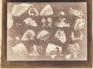 Milliners fönster av William Henry Fox Talbot