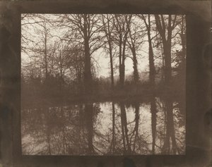 Träd och reflektioner