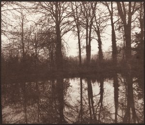 Vinterträd reflekterade i en damm, 1841-42. av William Henry Fox Talbot