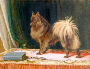 "Porträtt av Prairie Prince", 1897