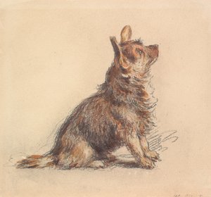 En sittande terrier som tittar uppåt åt höger av William Henry Hunt