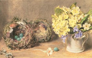 Vårblommor och fågelbon, ca 1830 (akvarell & kroppsfärg på papper) av William Henry Hunt