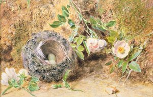 Stilleben med bo av bokfink av William Henry Hunt
