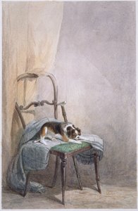 Studie av en hund på en stol (akvarell på papper) av William Henry Hunt