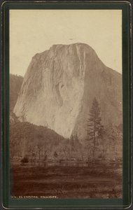  av William Henry Jackson