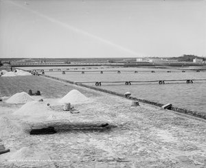 Saltverk och raffineringskärl, Mexiko, c.1880-97