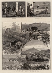 Wynaad Gold Fields, södra Indien av William Henry James Boot