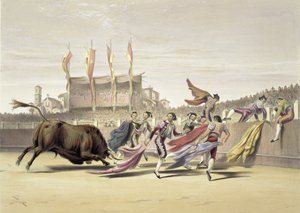 Chulos spelar tjuren, 1865