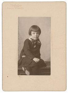 Natt Noyes Dodge, ca 1904 (foto) av William Henry Partridge