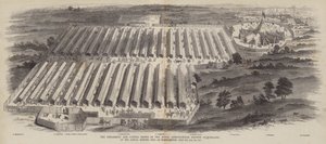 Redskaps- och boskapsutställningarna av Royal Agricultural Society of England, vid årsmötet i Northampton, 20, 21, 22 juli 1847