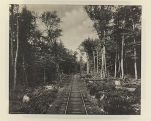 Ganoga Lake Branch, L.V.R.R., ca 1899 (platinatryck)