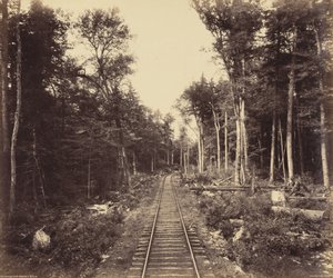 Ganoga Lake Branch,ca 1895 (foto) av William Herman Rau