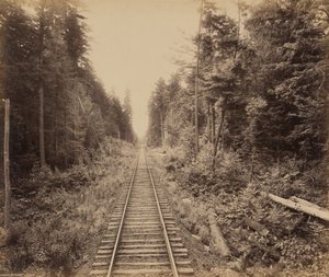 Hemlockskogen,ca. 1895 (foto) av William Herman Rau