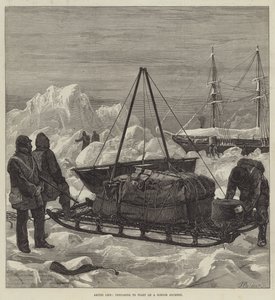 Arctic Life, förbereder sig för att börja på en släderesa