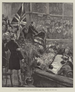 Stort möte för irländska delegater i Albert Hall, som hejar på Union Jack