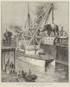 Looshai-expeditionen, fraktar elefanter ombord på Simla i Calcutta
