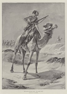 Den infödda egyptiska armén, kamelkåren