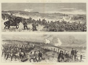 Volontärgranskningen i Portsmouth av William Heysham Overend