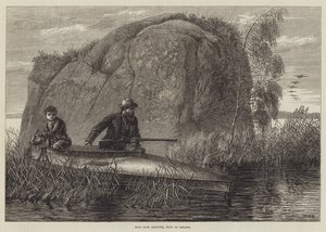 Skjutning av vilda ankor, gravyr från västra Irland