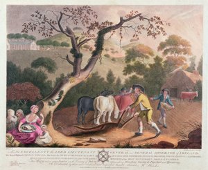 Utsikt över plöjning, sådd av linfrö och harvning, 1791
