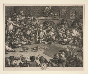 Tuppkampen av William Hogarth