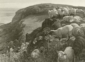 På sluttningen (gravyr) av William Holman Hunt