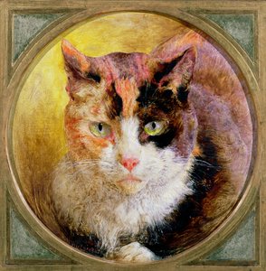 En huvudstudie av en sköldpaddkatt, 1866