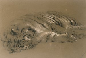 En sovande tiger, 1876 (penna och krita på papper)