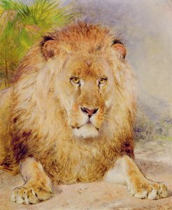 Lejon