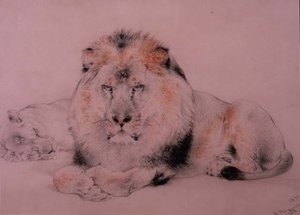 Lejon och Lejoninna av William Huggins