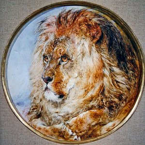 Porträtt av ett lejon av William Huggins