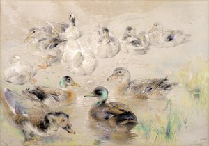 Studie av ankor av William Huggins