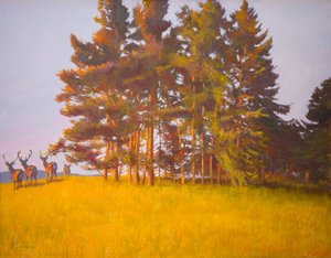 Utsikt från kabinen (olja ombord) av William Ireland