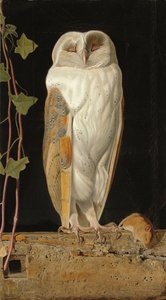 Den vita ugglan: "Ensam och värmer sina fem förstånd, sitter den vita ugglan i klockstapeln", 1856 av William J. Webbe