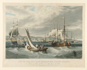 Utsikt över New York Quarantine, Staten Island. av William James Bennett