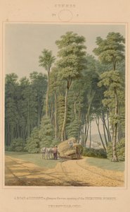 Sommar - en trafikolycka. En glimt genom en öppning av Urskogen. Thornville, Ohio av William James Bennett after George Harvey