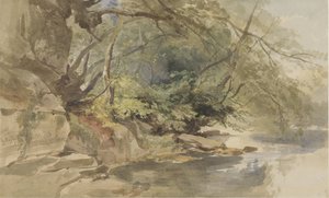 Ansikte i Stapleton Wood, nära Bristol
