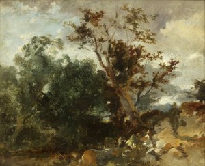 Study of Trees, c.1840 (olja på koppar) av William James Muller