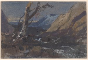 Studie av träd vid en bergsbäck av William James Muller