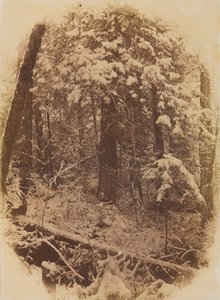 Utan titel Woods in Snow, 1859.