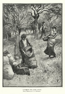 Att samla in cideräpplen (litografi) av William John Hennessy
