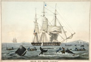 South Sea Whale Fishery, pub. 1825 (färglitografi)