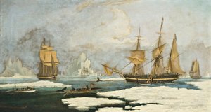 The Northern Whale Fishery: Fartyget Harmony of Hull och andra isbundna valfångare, jagar sälar, narvalar och valar på valfångstmarken vid Davissundet utanför Grönland