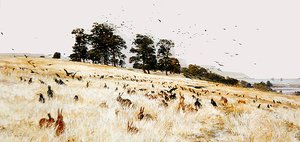 A Rookery, ca 1889 (olja på duk) av William Lionel Wyllie
