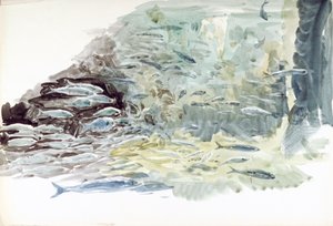 Undervattensbild av ett fiskstim av William Lionel Wyllie