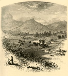 "Topparna av Otter", 1872.